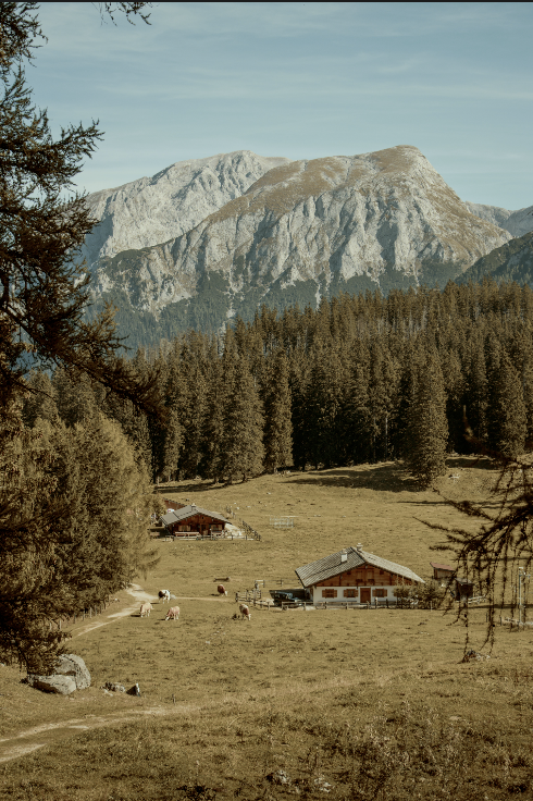 Paesaggio alpino con baita e pascolo